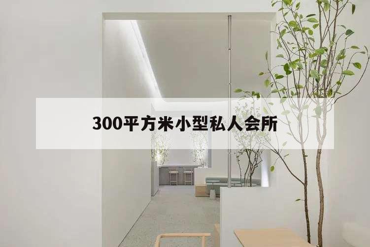300平方米小型私人會所,200平方私人會所
