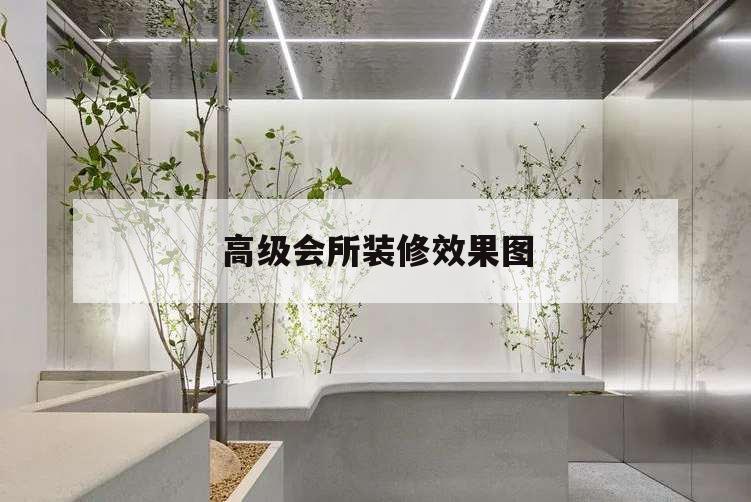 高級(jí)會(huì)所裝修效果圖,高端會(huì)所效果圖