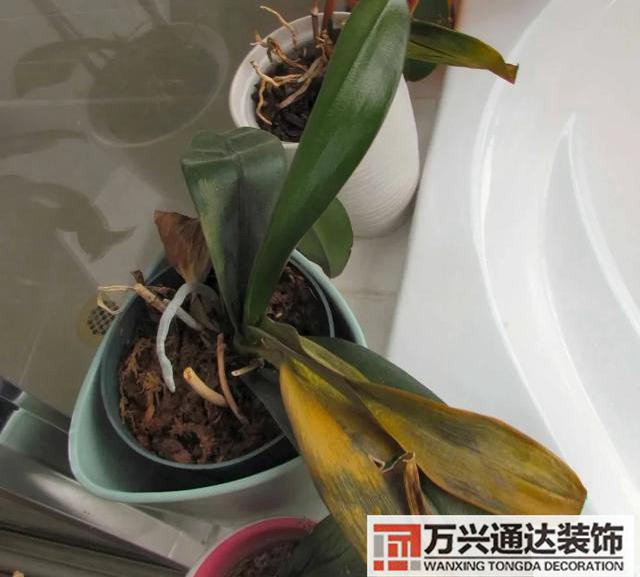 室內風水圖片室內風水布局圖解