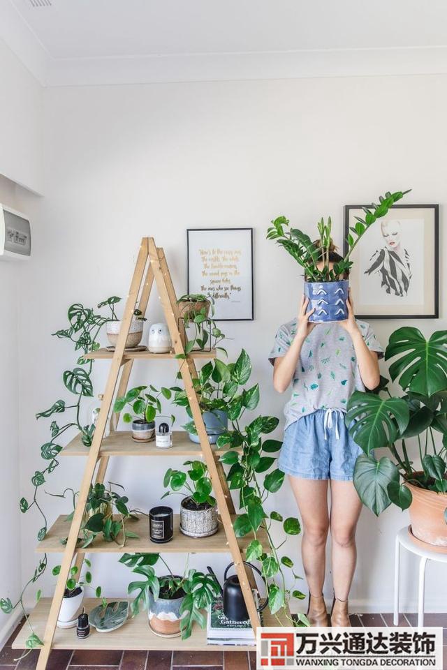 裝修綠植裝修綠植墻