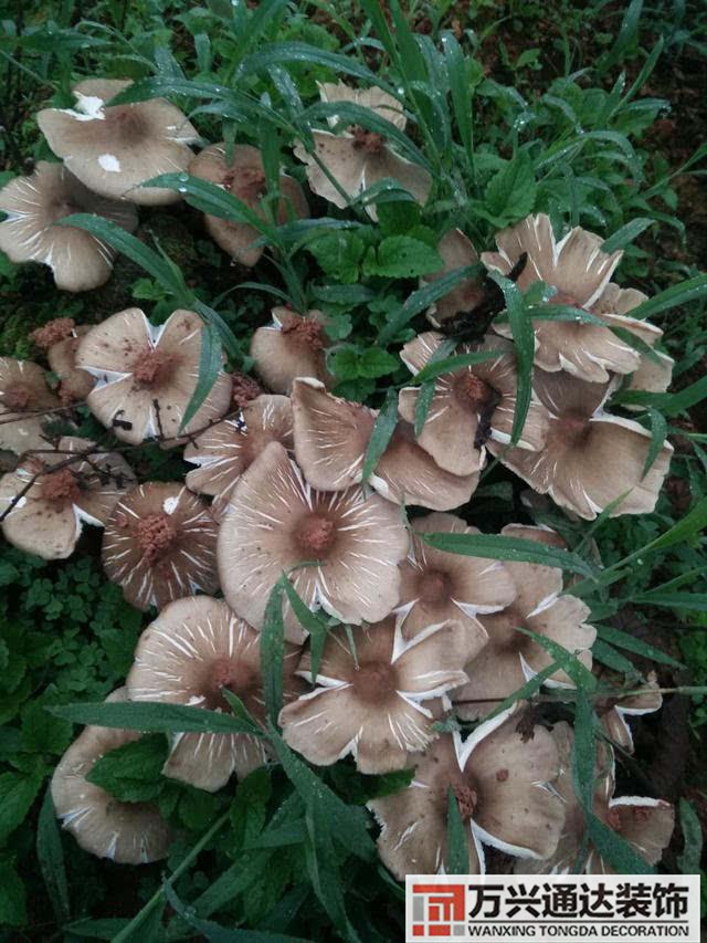 云南風水寶地云南風水寶地分享